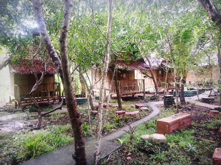 Bohol Coco Farm Hostel Panglao Kültér fotó