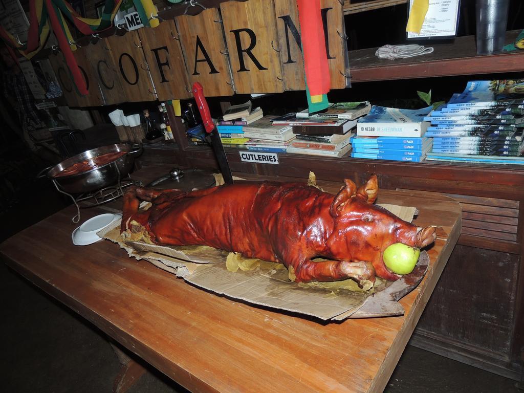 Bohol Coco Farm Hostel Panglao Kültér fotó