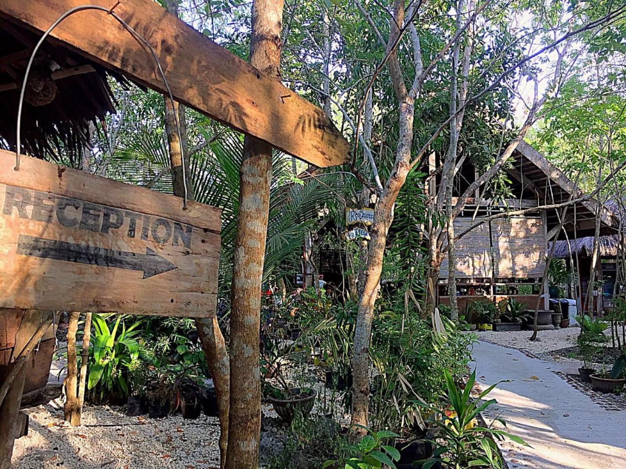 Bohol Coco Farm Hostel Panglao Kültér fotó