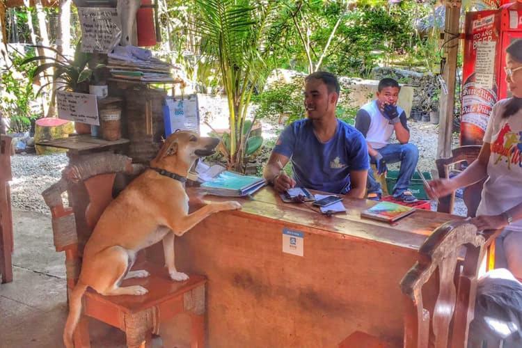 Bohol Coco Farm Hostel Panglao Kültér fotó